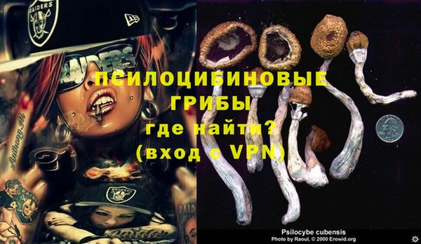 мяу мяу мука Армянск