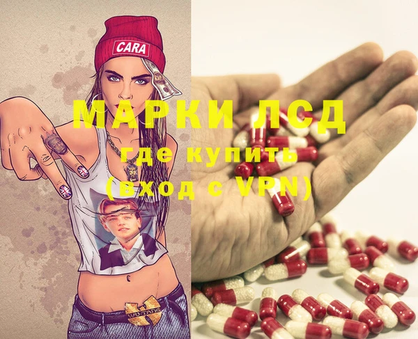 спиды Аркадак