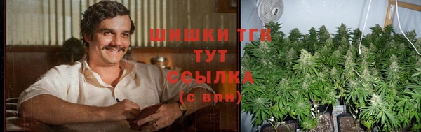 спиды Аркадак