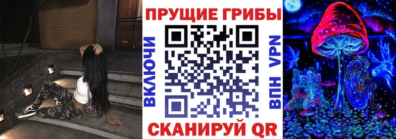 Галлюциногенные грибы GOLDEN TEACHER  ссылка на мегу ТОР  Высоцк 